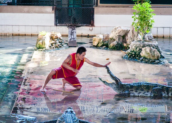 Krokodil Visa på samphran crocodile farm i nakhon pathom, thailand — Stockfoto