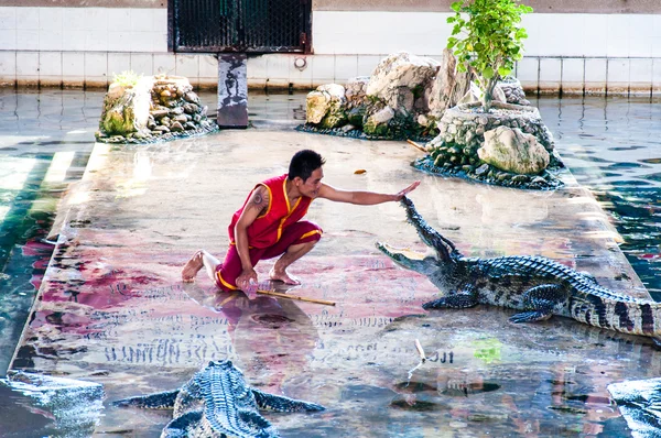 Krokodýlí show na samphran krokodýlí farma v nakhon pathom, Thajsko — Stock fotografie