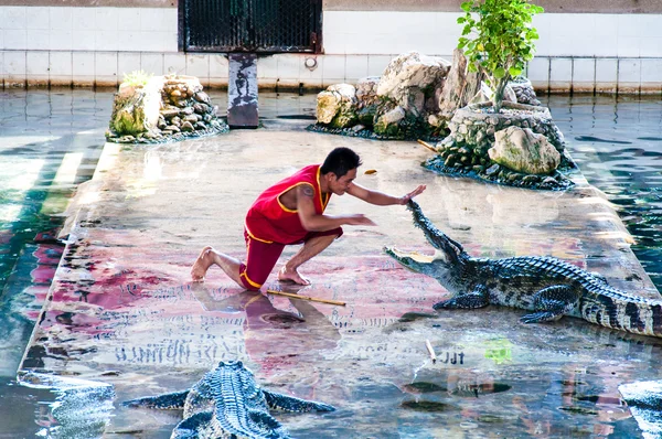 Crocodilo show no Samphran Crocodile Farm em Nakhon Pathom, Tailândia — Fotografia de Stock