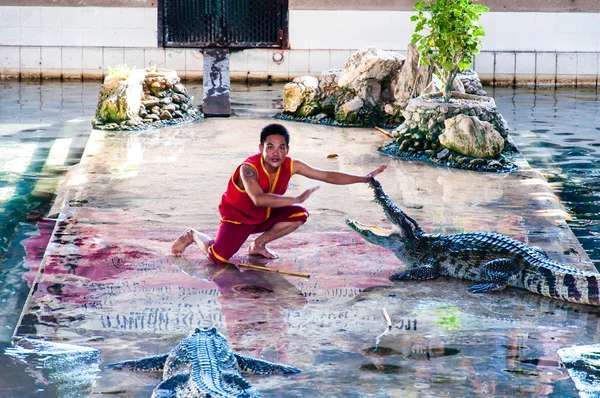 鳄鱼显示在泰国佛统府攀鳄鱼农场 — 图库照片