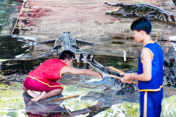 Krokodýlí show na samphran krokodýlí farma v nakhon pathom, Thajsko — Stock fotografie