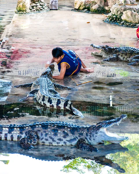 Crocodile show at Samphran Crocodile Farm in Nakhon Pathom,Thailand — Stock Photo, Image