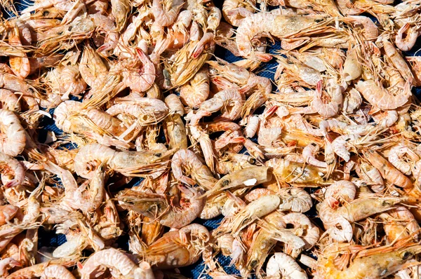 Gros plan sur les crevettes séchées au soleil — Photo