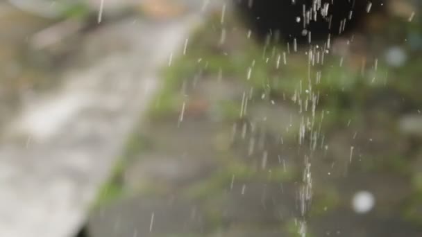 Out Focus Water Sprinkler Smooth Water Splash Blur Background Water — Stock Video