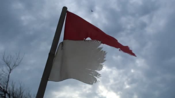Rozdarta Indonezyjska Flaga Trzepocze Rano Tle Drzew Jasnego Błękitnego Nieba — Wideo stockowe