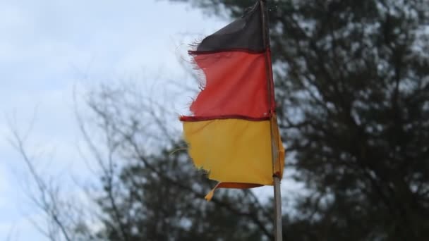 Bandeira Alemã Rasgada Que Flutua Contra Fundo Das Árvores Céu — Vídeo de Stock