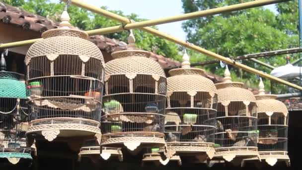 Five Unique Bird Cages Dried Sun Hot Day — 图库视频影像