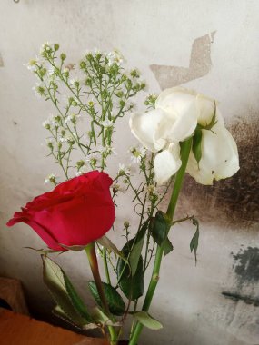 Kirli beyaz arka planda kırmızı ve beyaz güller