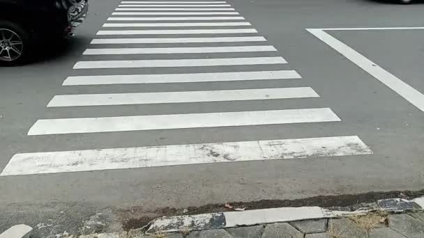Cebra Cruzan Para Cruzar Calle Ciudad Adecuado Para Tema Transporte — Vídeos de Stock