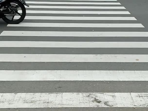 Cebra Cruzan Para Cruzar Calle Ciudad Adecuado Para Tema Transporte — Vídeos de Stock