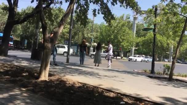Yerevan Mashtoc Ave 2022 August Saryan Park — Stockvideo