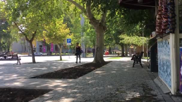 Yerevan Mashtoc Ave 2022 August Saryan Park — Stockvideo