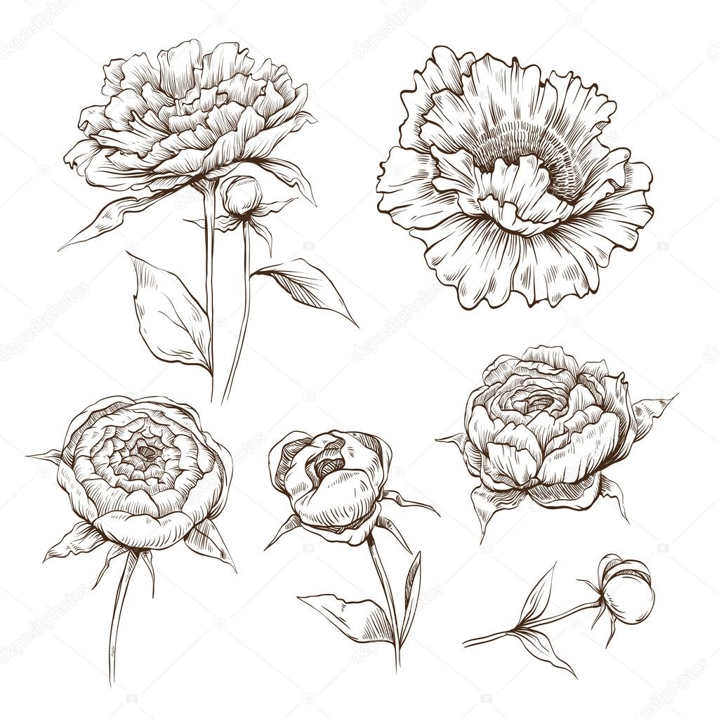Free Free 108 Hand Drawn Flower Svg Free SVG PNG EPS DXF File