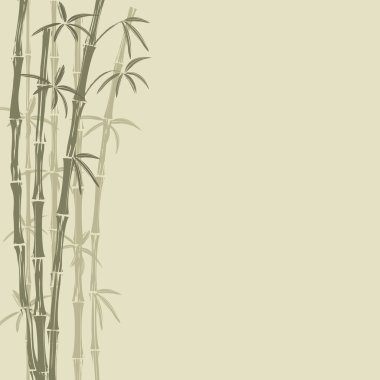 Bambu.
