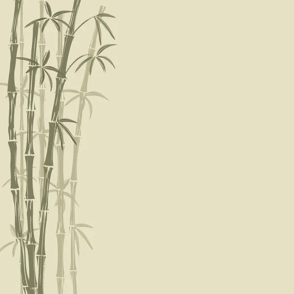 Bamboo — Stock Vector