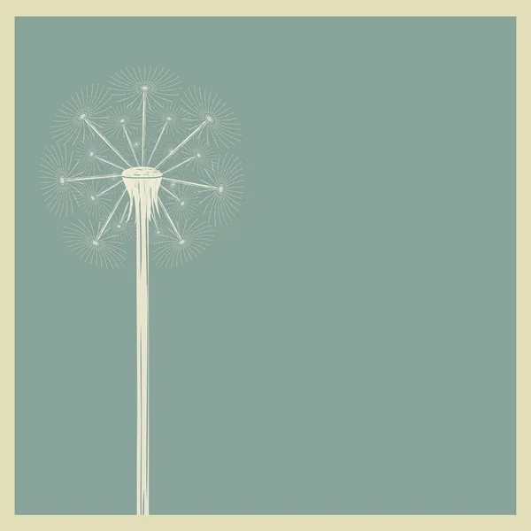 Dandelion — Stock Vector