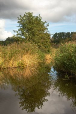 Polder Park Cronesteyn Hollanda 'nın Leiden şehrinde büyük bir park. 