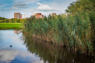 Polder Park Cronesteyn Hollanda 'nın Leiden şehrinde büyük bir park. 