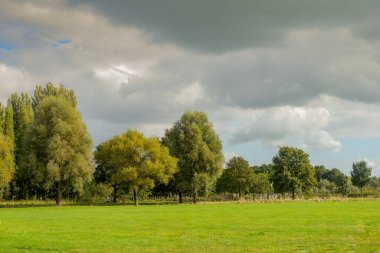 Polder Park Cronesteyn Hollanda 'nın Leiden şehrinde büyük bir park. 
