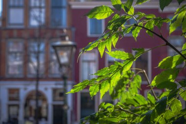 24 Ekim 2021, Leiden, Hollanda, renkli tuğla ve alçı cepheli tarihi evler dizisi 