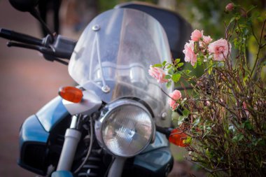 Pembe güller ve arka planda ön camı olan motosiklet.