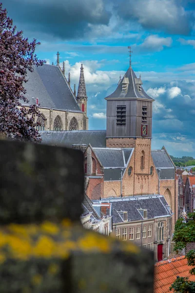 Hooglandse Kilisesi Hollanda Leiden Daki Geç Dönem Gotik Bazilikası — Stok fotoğraf