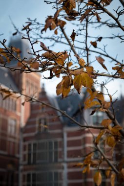 22 December 2021, Amsterdam, Netherlands,  Sunset  image of the Museumplein and Rijksmuseum, during the winter holidays, Christmas, and New Yea