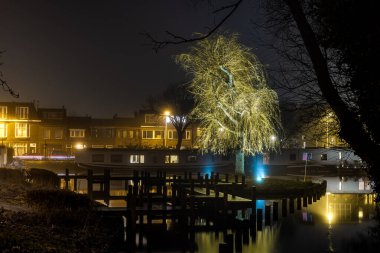 Leiden Kanalı yakınındaki parkta aydınlanmış söğüt ağacının gece görüntüsü