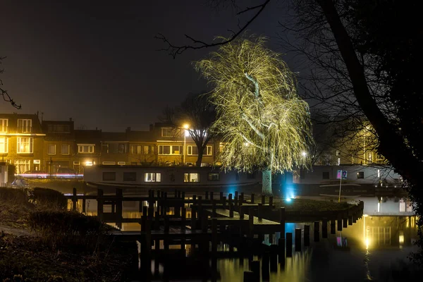Imagen Nocturna Del Sauce Iluminado Parque Cerca Del Canal Leiden — Foto de Stock