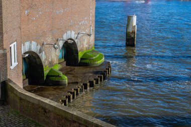 Mass River 'daki Rotterdam güvertesinde yosunlarla kaplı taşlar.