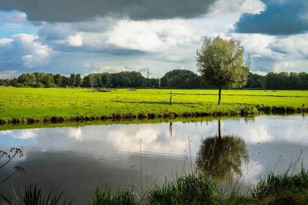 Nuvoloso Cielo Alberi Canale Verde Erba Cronensteyn Polder Leiden Paesi — Foto Stock