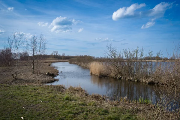 Classico Paesaggio Polder Olandese Tra Città Leida Wassenaar Paesi Bassi — Foto Stock