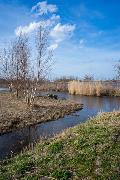 Classico Paesaggio Polder Olandese Tra Città Leida Wassenaar Paesi Bassi — Foto Stock