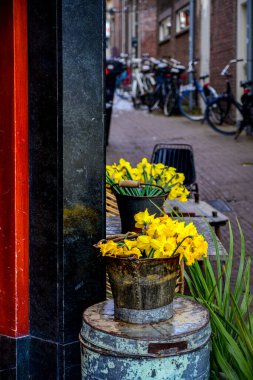Nisan ayında kar altında sokaklar, kafeler ve restoranlar, Leiden, Hollanda
