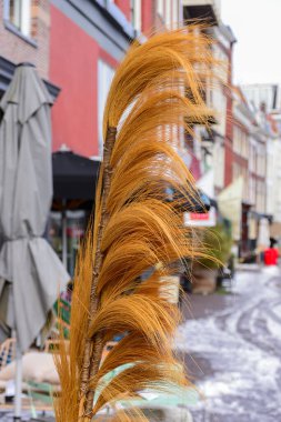 Nisan ayında kar altında sokaklar, kafeler ve restoranlar, Leiden, Hollanda