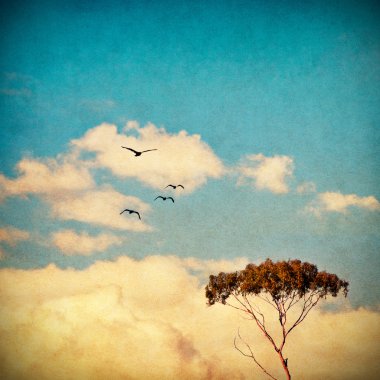 Dreamy Sky and Tree clipart