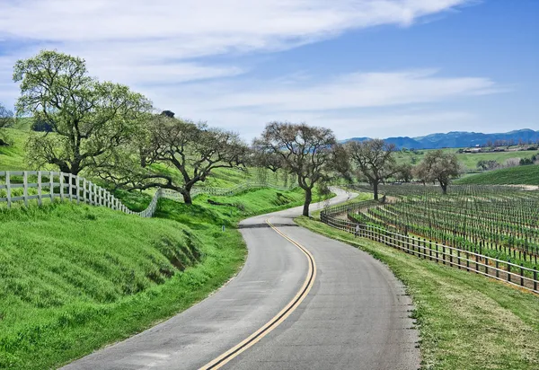 Camino del país — Foto de Stock