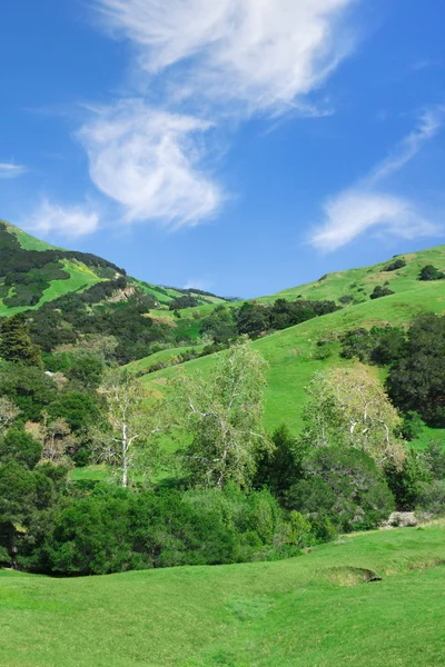 California kırsal — Stok fotoğraf