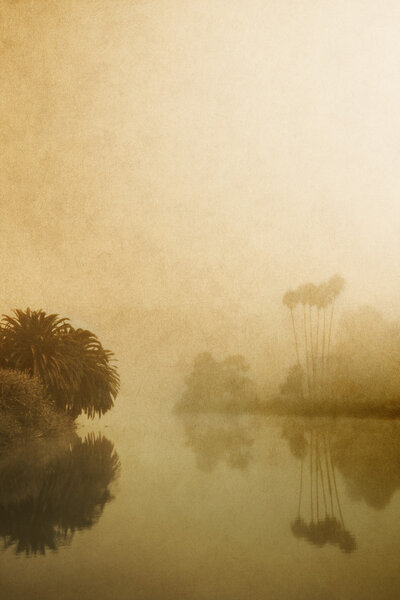 туманное озеро
