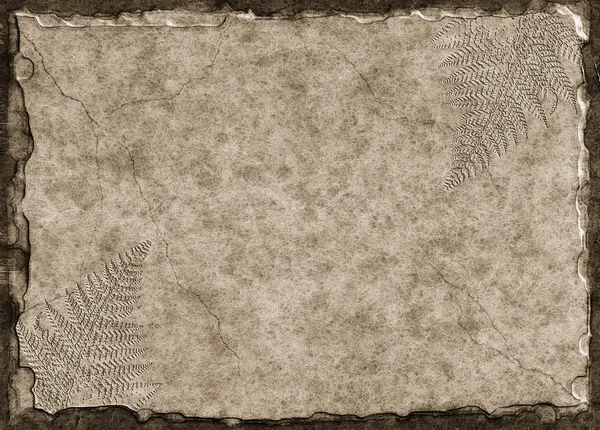 シダの化石 — ストック写真