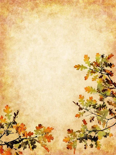 Textured Autumn Leaves — Stock Photo, Image