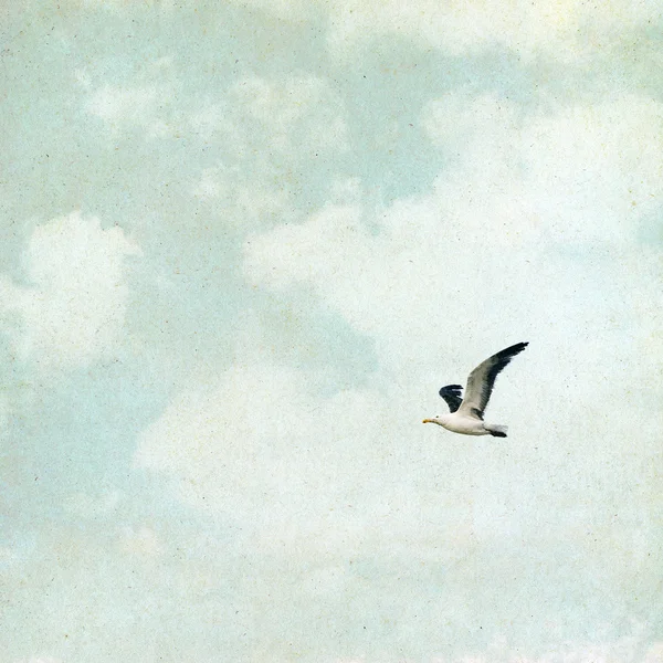 Vintage Seagull — Stock Photo, Image