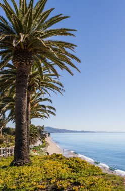 Santa barbara doğal