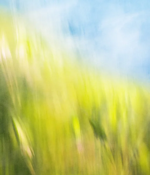 Céu de grama abstrato — Fotografia de Stock