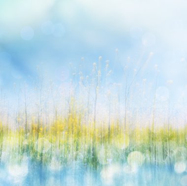 Bahar çiçek ve bokeh