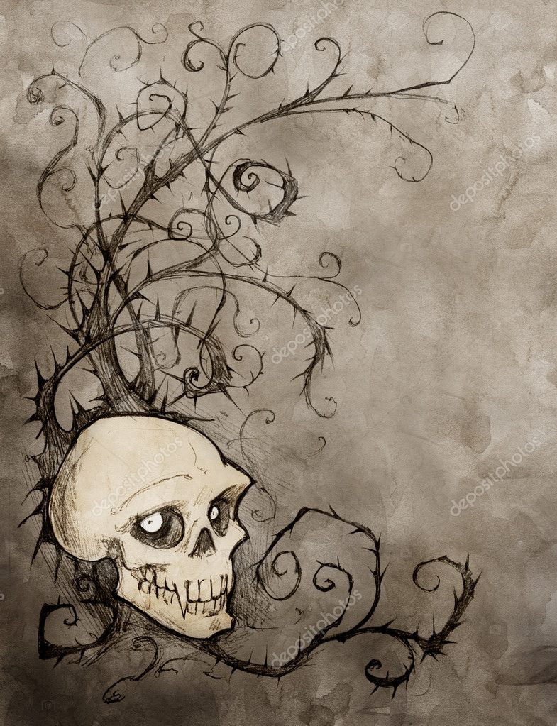 Skull Fantasy Stock Photos Royalty Free Skull Fantasy Images Depositphotos