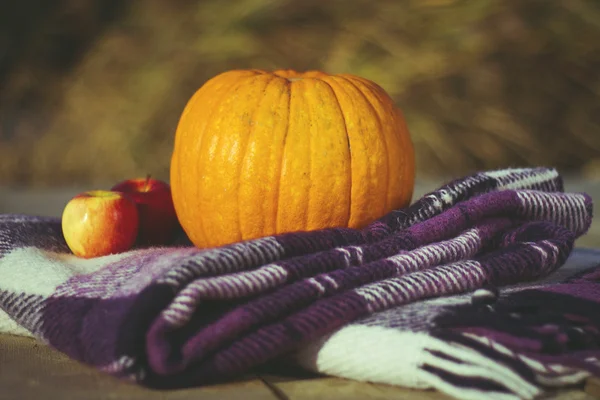 Herbstfarben Stockbild