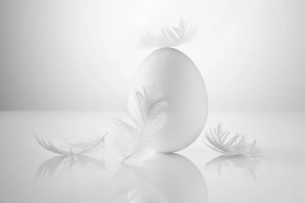 White Chicken Eggs Feathers White Table Reflection — Stock Photo, Image