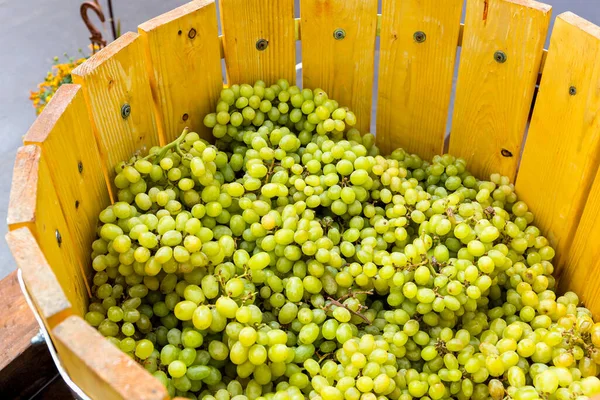 Grona Dojrzałych Zielonych Winogron Drewnianej Beczce Koncepcja Zdrowego Stylu Życia — Zdjęcie stockowe