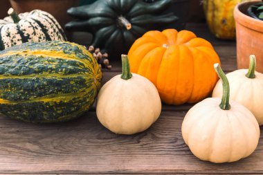 Tahta tahtalarda farklı şekillerde ve renklerde birkaç balkabağı. Farklı türde balkabakları. Sonbahar hasadı.